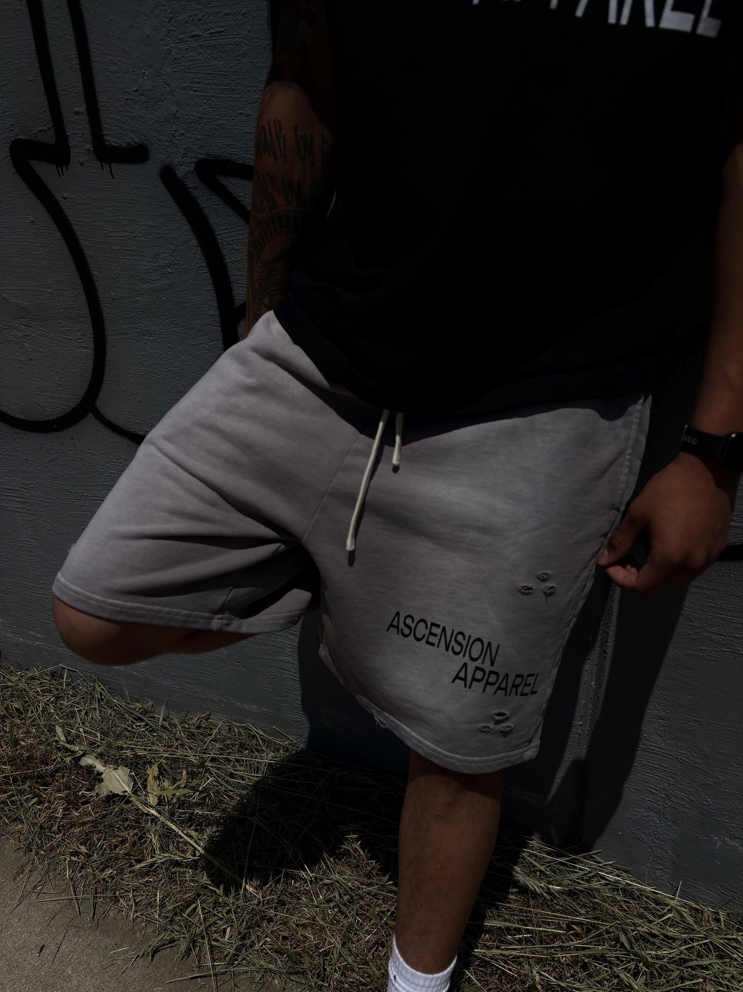 A.A. Sun Fade Distressed Shorts