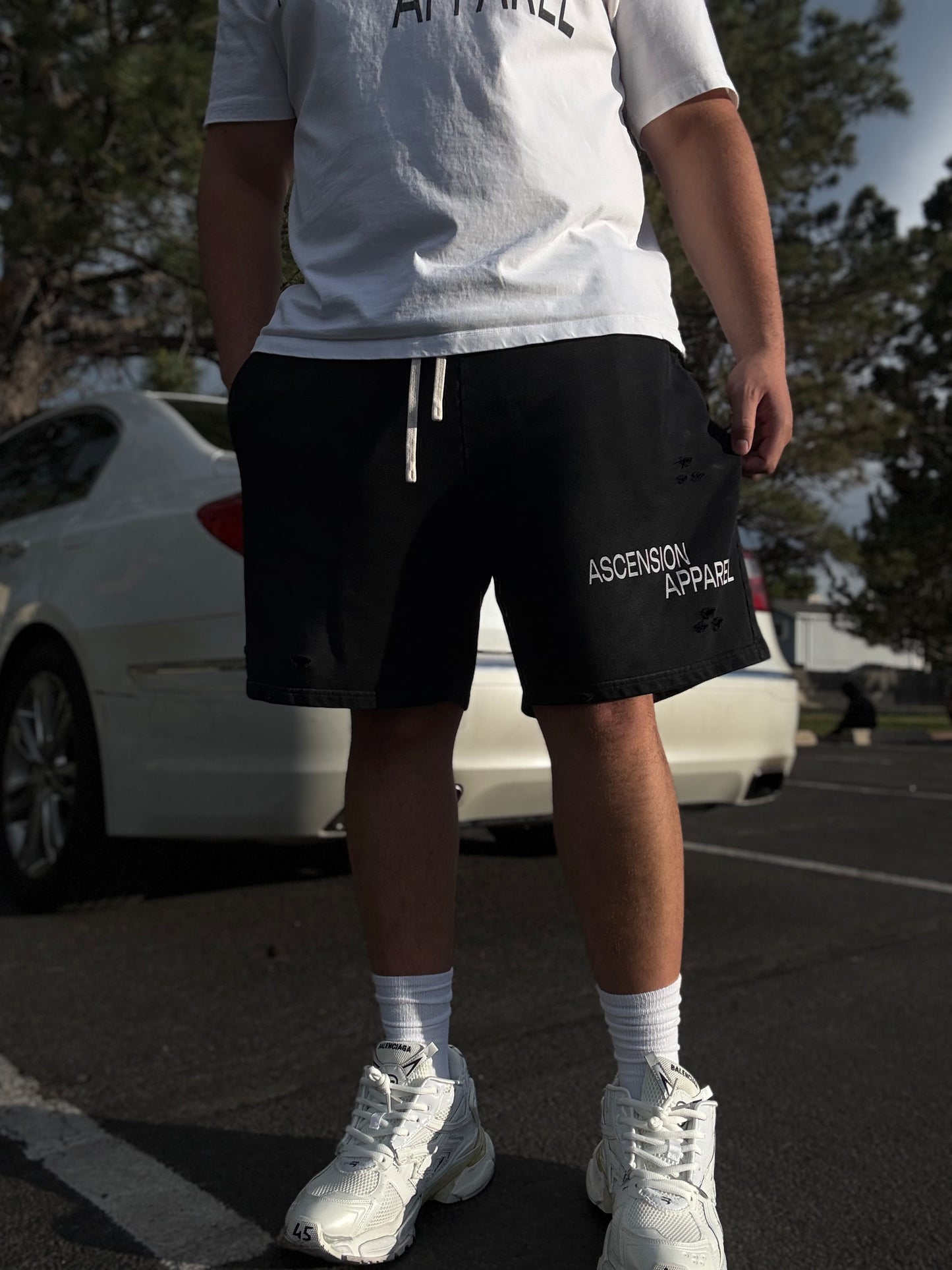 A.A. Sun Fade Distressed Shorts