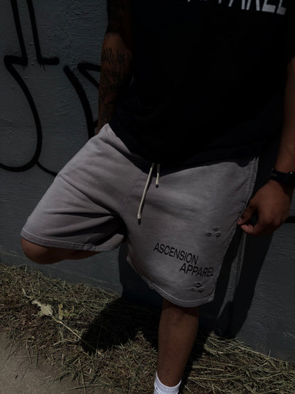 A.A. Sun Fade Distressed Shorts