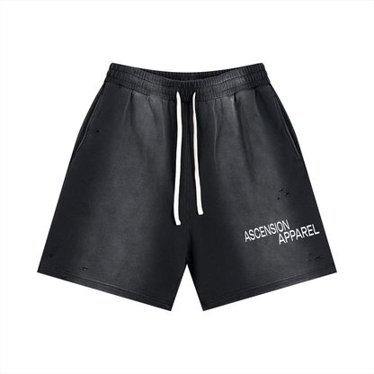 A.A. Sun Fade Distressed Shorts